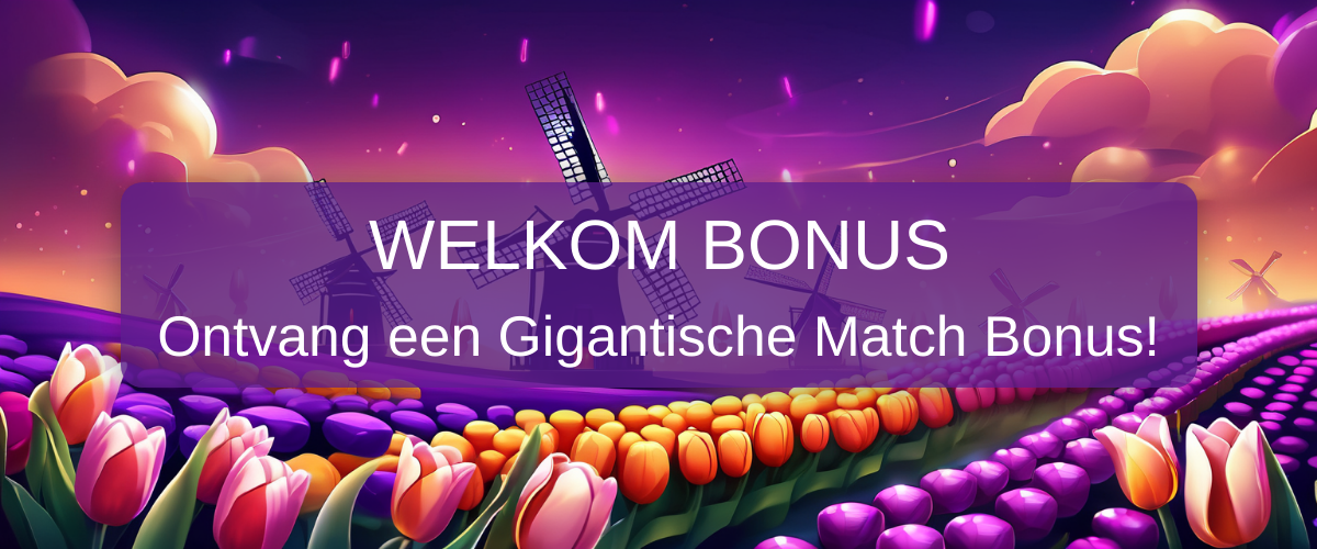 Acasino Nederland - Jouw Online Casino Bestemming